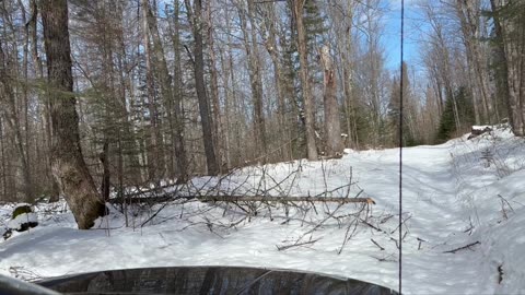 Going into the off grid . Tree down