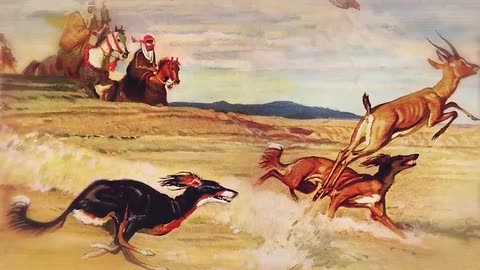 This Dogs can Run Faster Than Usain Bolt