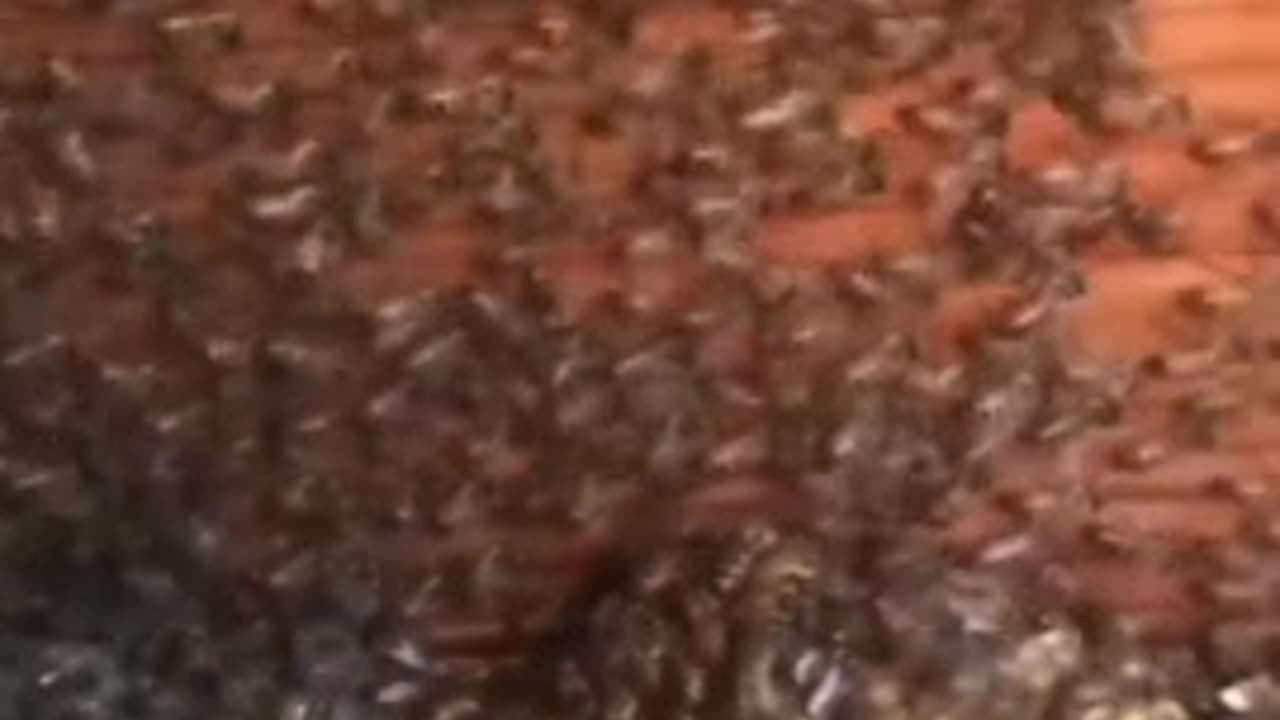 What Being Centered Within Your Own Soul (God's Desire for YOU Specifically) Really Looks Like