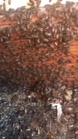 What Being Centered Within Your Own Soul (God's Desire for YOU Specifically) Really Looks Like