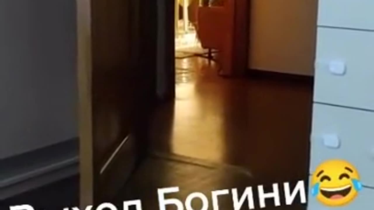 Dancing Russian Baby 🤡🤣