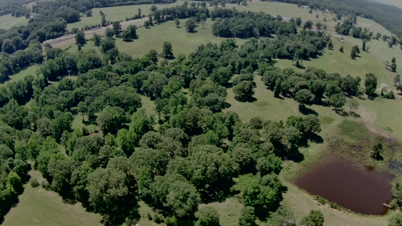 92ac Timber & Hay Property; Mount Enterprise, Texas