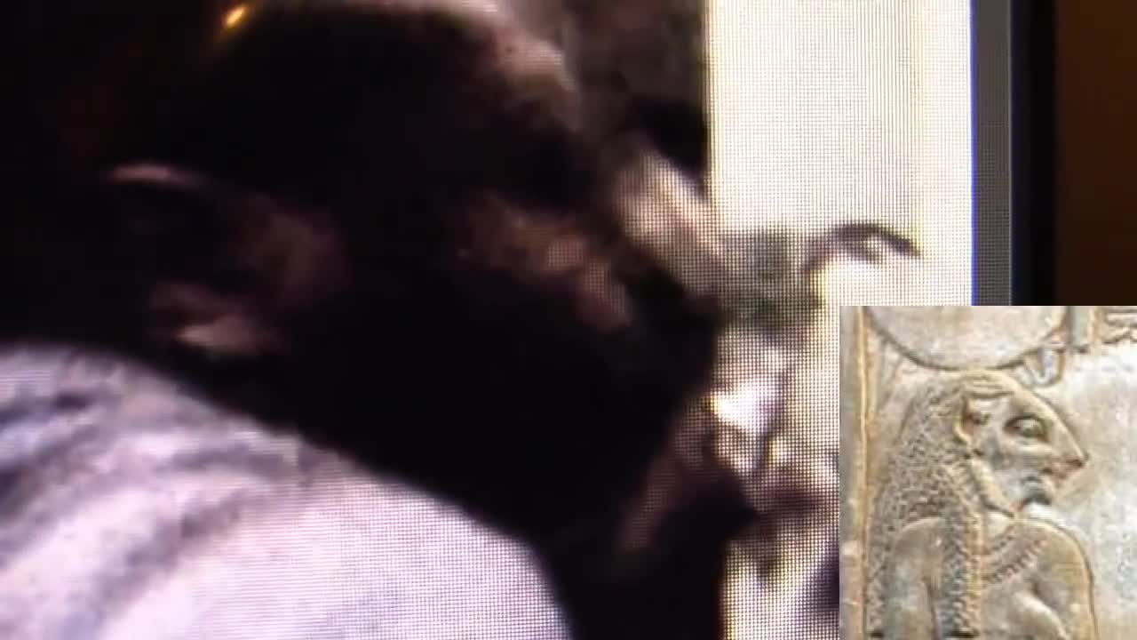 288. Shapeshifting Non-Humans Capture Compilation! (Part 2 2016 R.Bruce)