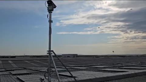 Bird Beam Laser Installation: Protect Your Property with Protech Pest Control