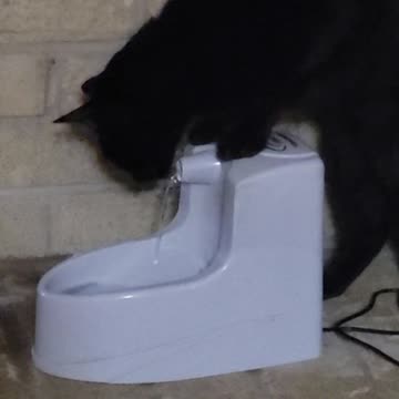 Hank has to do things his way