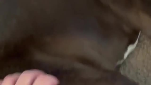 Call National Geographic