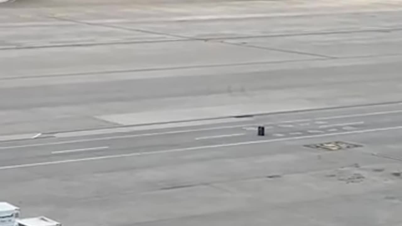 Luggage Rolls Across Airport Ramp