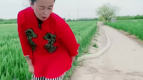 Farmer's wife