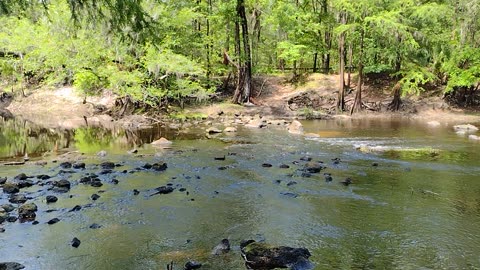 Bridge @ Oleno