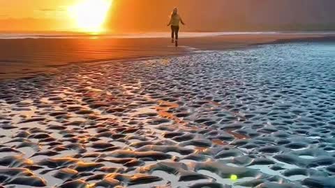 When was the last time you ran happily? Tik Tok sees the world.