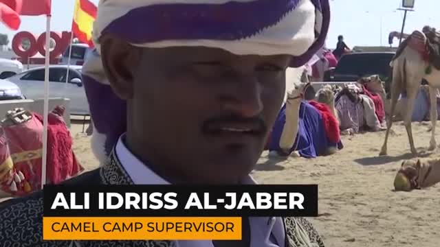Shahine the camel successfully predicts World Cup... losses? | Al Jazeera Newsfeed
