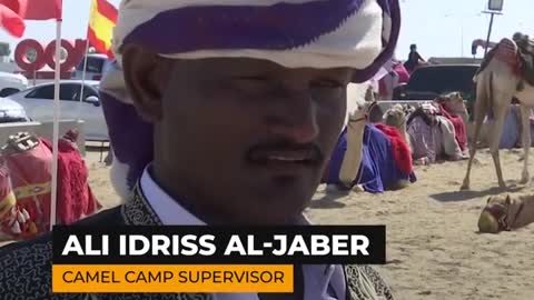 Shahine the camel successfully predicts World Cup... losses? | Al Jazeera Newsfeed
