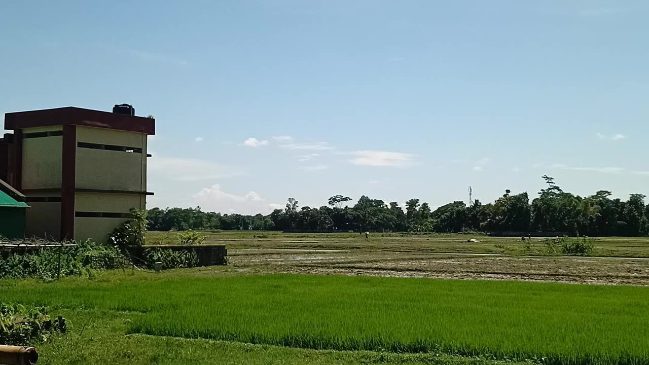 Beauty of Nature