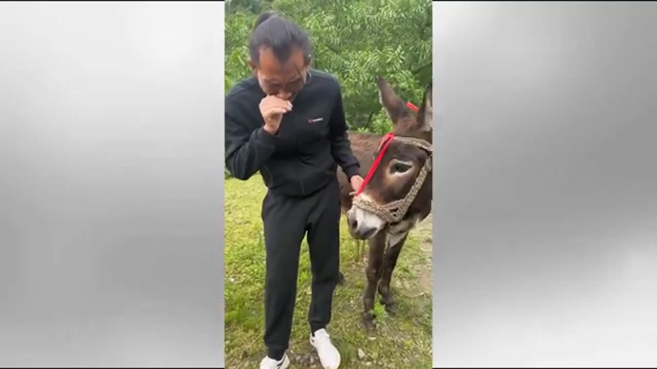 Try not to laugh 2023