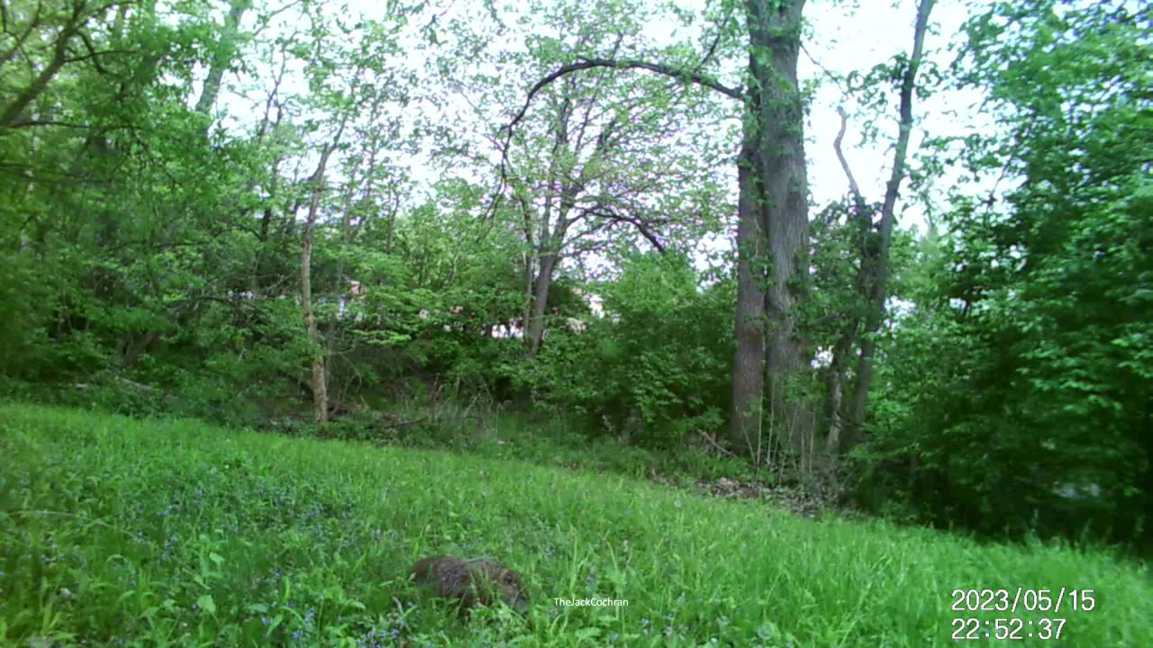 Jack's Trail Camera -- Episode 62
