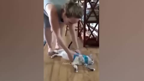 Funniest Cats and Dogs ���� Funny Animals 2023 ��