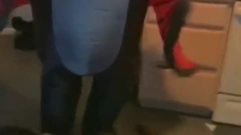 funny videos