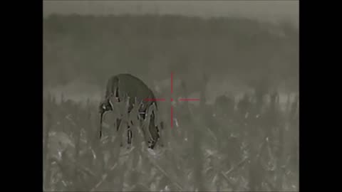 Cull Buck