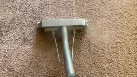 Truck mount carpet cleaning in Nampa and Meridian Idaho