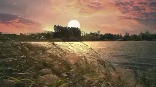 The sun warms those who rise early and the moon accompanies those who stay up late