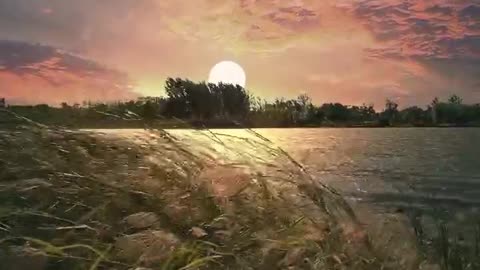 The sun warms those who rise early and the moon accompanies those who stay up late