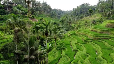 These LANDSCAPES are amazing