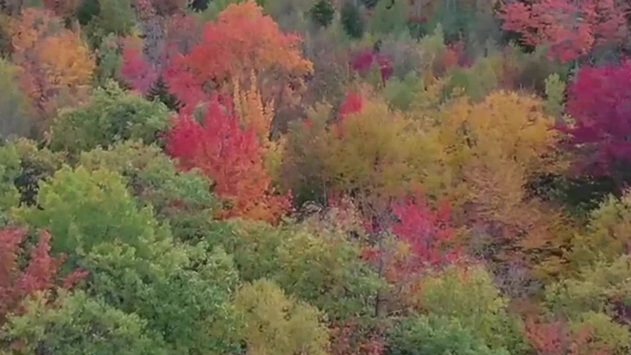Rewire Your Brain for Abundance and Success with Daily Practice