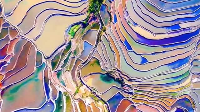 Beauty of nature 🌏 #scenery #nature #fyp #foryou #trending #tiktok