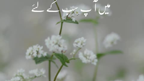 Islamic Video