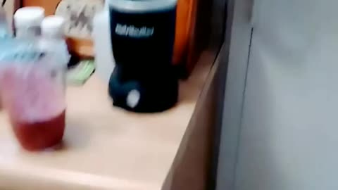 The Nutribullet
