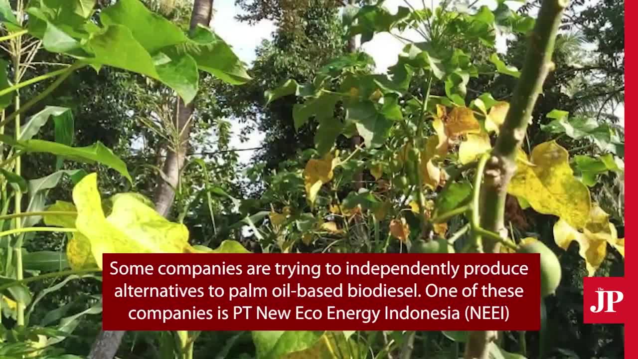 Diverse, sustainable biofuels crucial for Indonesia’s energy transition.