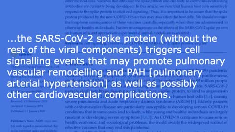 17 of 22 Unveiling COVID-19 Leviathan, Audiobook - 5 e ix, Vaccine dangers, prion disease