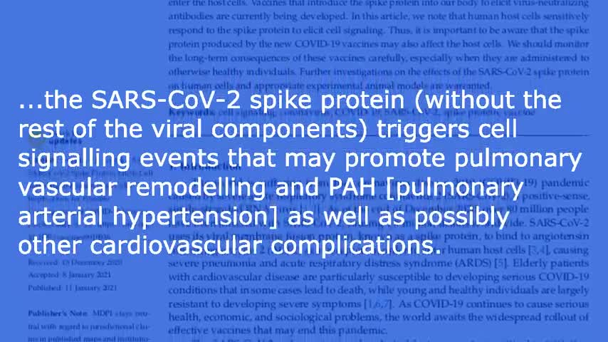 17 of 22 Unveiling COVID-19 Leviathan, Audiobook - 5 e ix, Vaccine dangers, prion disease