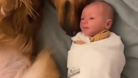 You are my baby