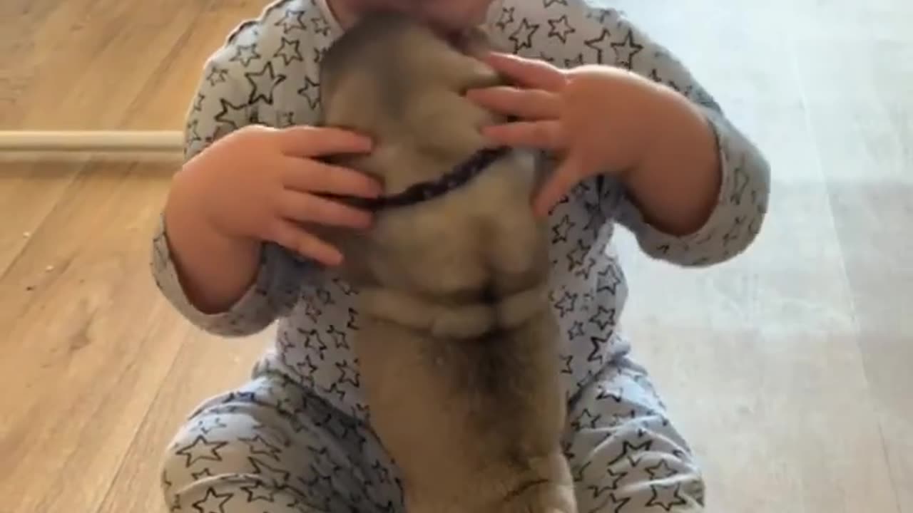 Baby and Puppies