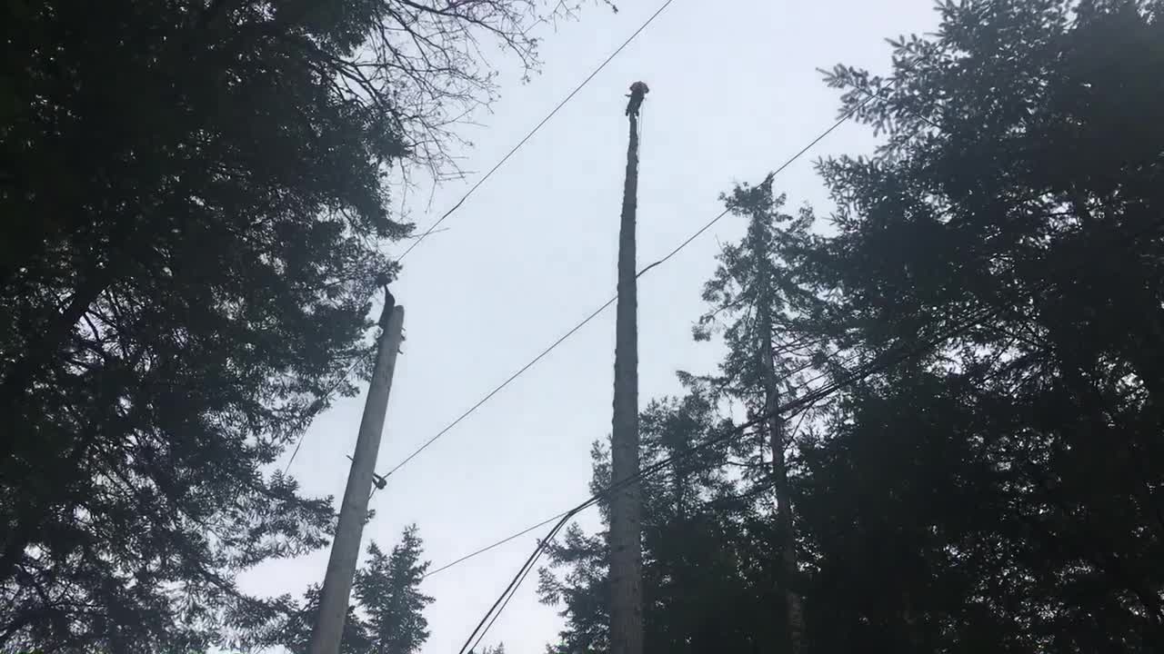 Small top three times the power line height double flip