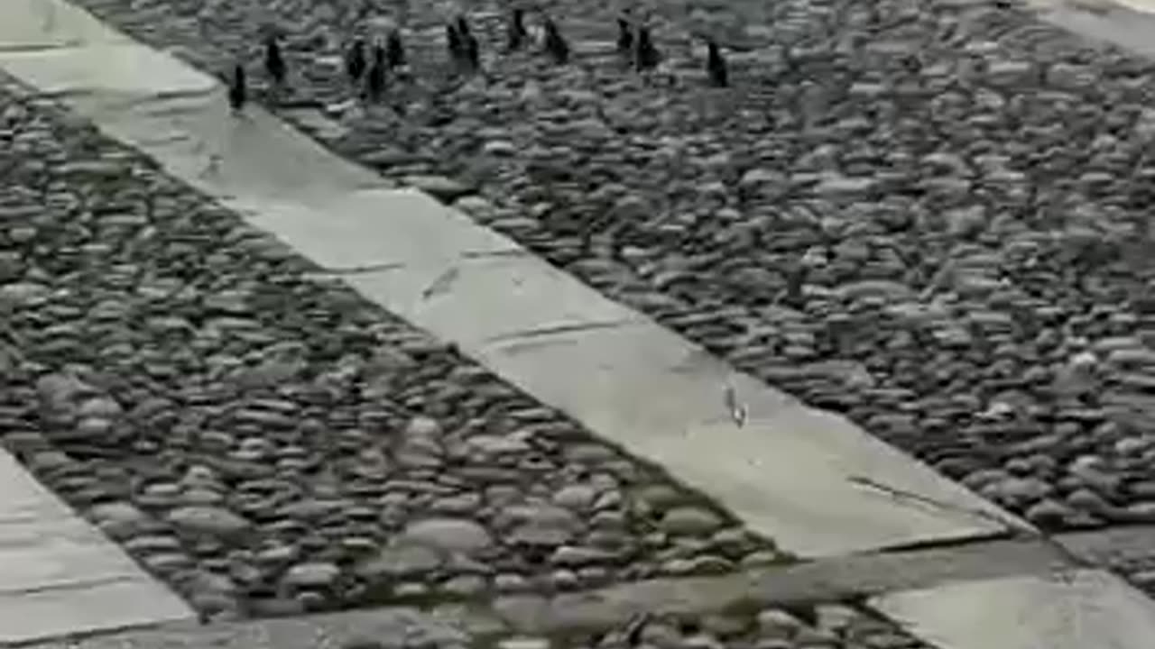Great Leadership Ability #shorts #viral #shortsvideo #video