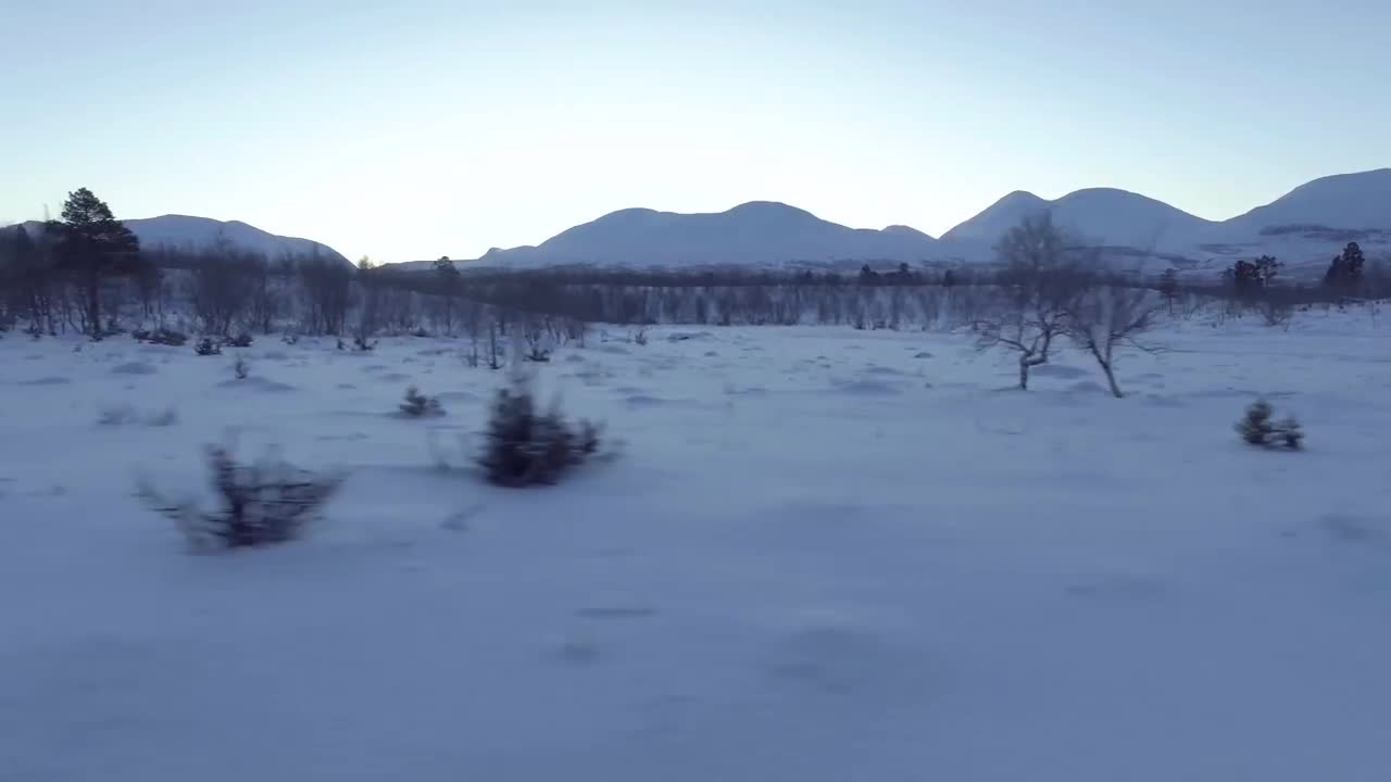 Chasing the Aurora Borealis in Abisko, Sweden 🇸🇪