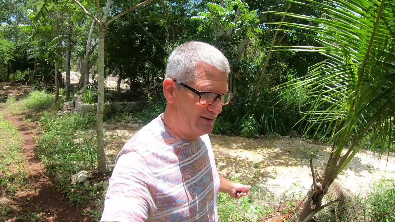 Off-grid in Mexico - video 26. 📣‼️1 week later and it's just amazing📣‼️💥🔝