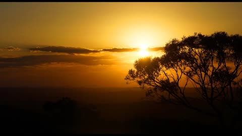 Morning Birdsong in Australia, Relaxing Nature sounds