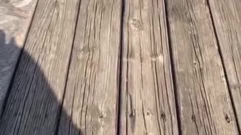 WHAT THE HELL IS GOING ON IN MEXICO?