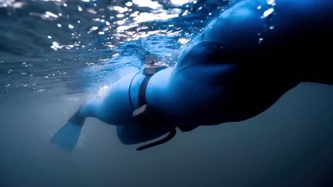 Freediving Porthkerris, Cornwall