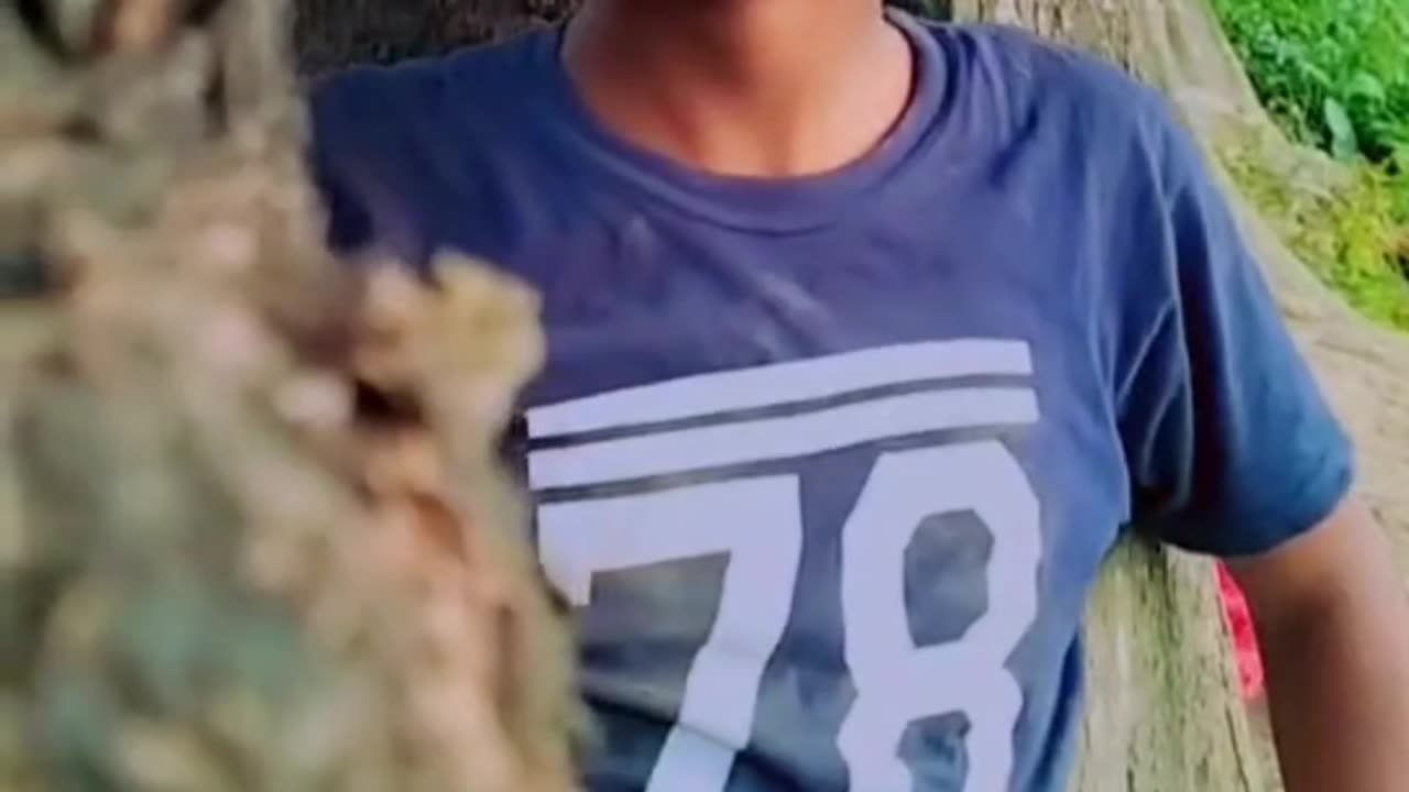 Fanny comedy video #tandingrumbelvideoviral#shortrumder