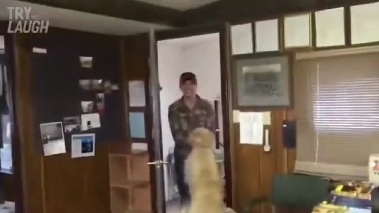 Try not to laugh | Funny Compilation | Funny Fails.