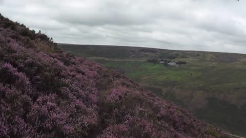 Birchen Clough Hike Saddleworth