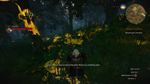 Witcher 3 - Princess In Distress Location of Pellar's Goat