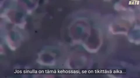 Covid rokote & veri - mikroskooppikuvaa