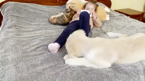 Golden retriever puppy won't leave adorable little girls.