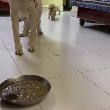 Its lunch time baby 😍