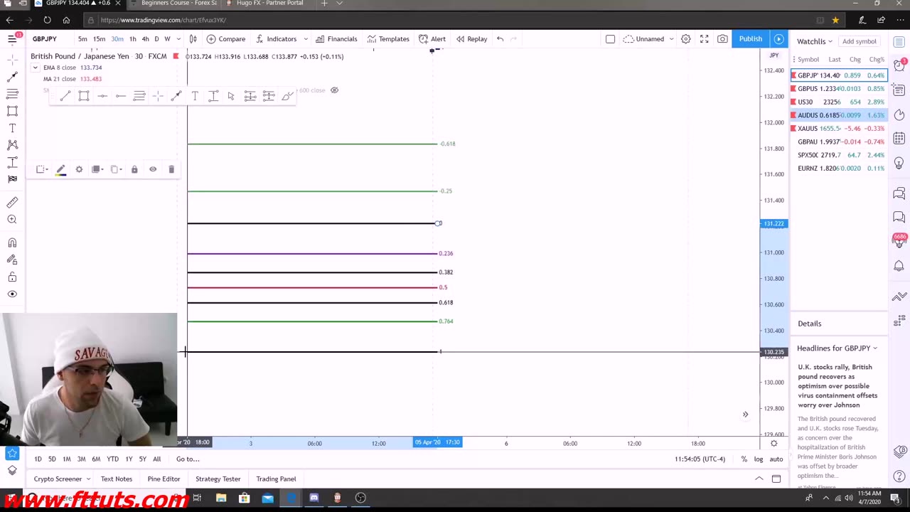 Daniel Savage Forex Trading Course: What is Fibonacci